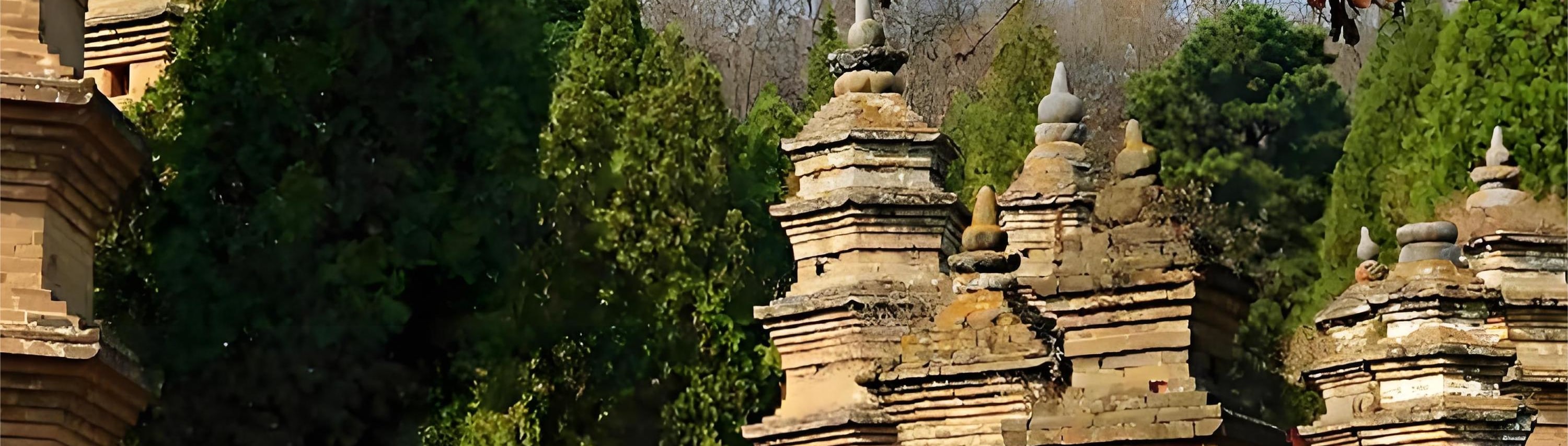 鄭州出發少林寺 私人導覽1日嵩山深度遊 可選（三皇寨/嵩陽書院/塔林/中嶽廟）