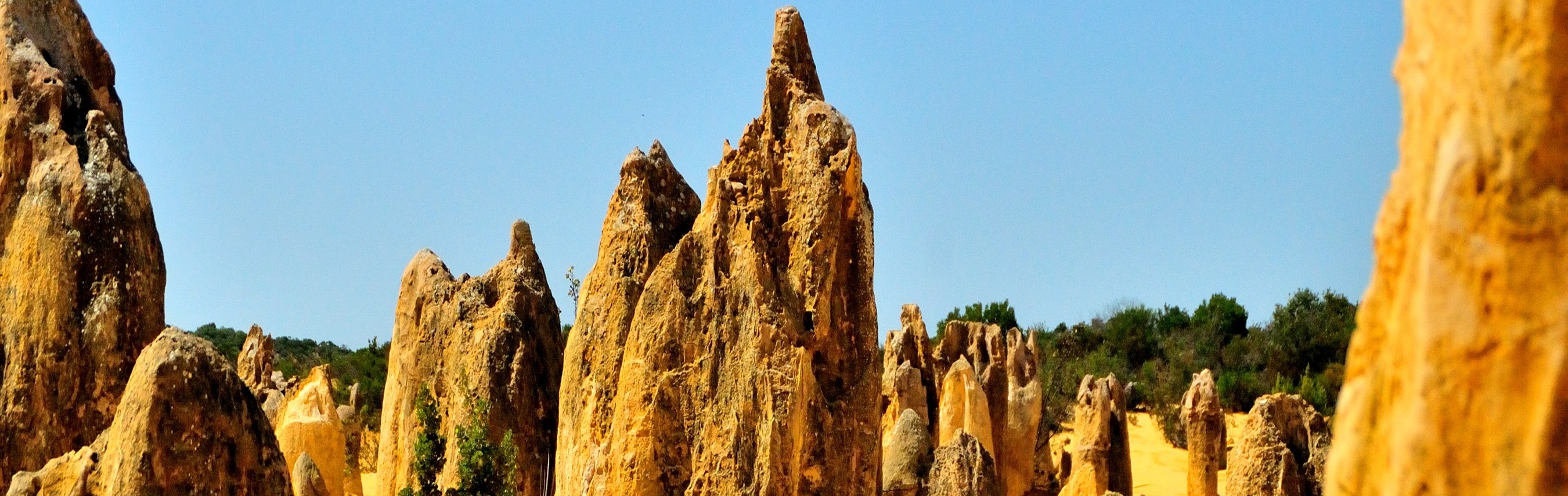 2 Days Pink Lake Western Australia Tour 