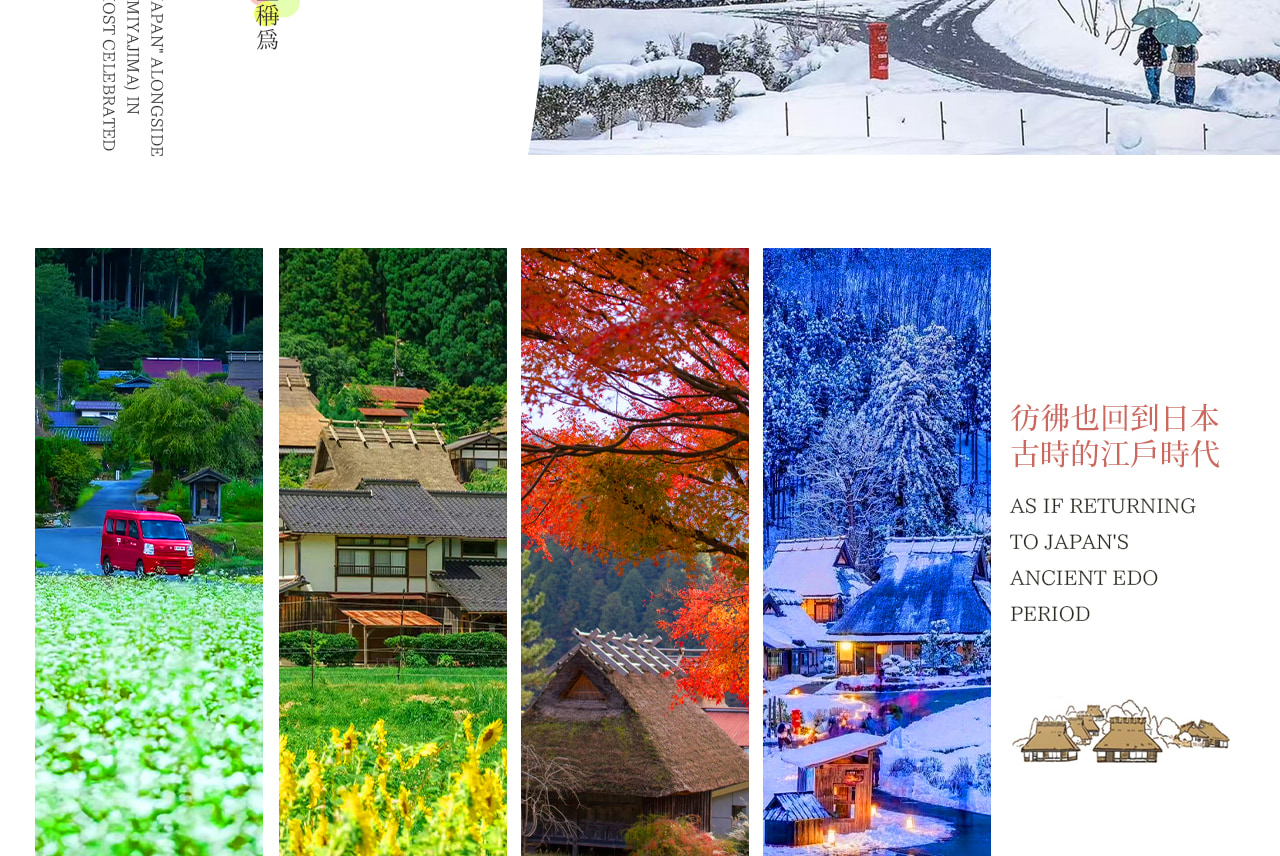 日本三大茅葺聚落之一的美山部落，紅郵筒、茅草屋與四季花海 / 雪景交織，宛如江戶時代的世外仙境。可嘗美山牛奶冰淇淋，逛古村小店，在雪季或花季的茅葺屋間漫步，感受與世隔絕的治癒感