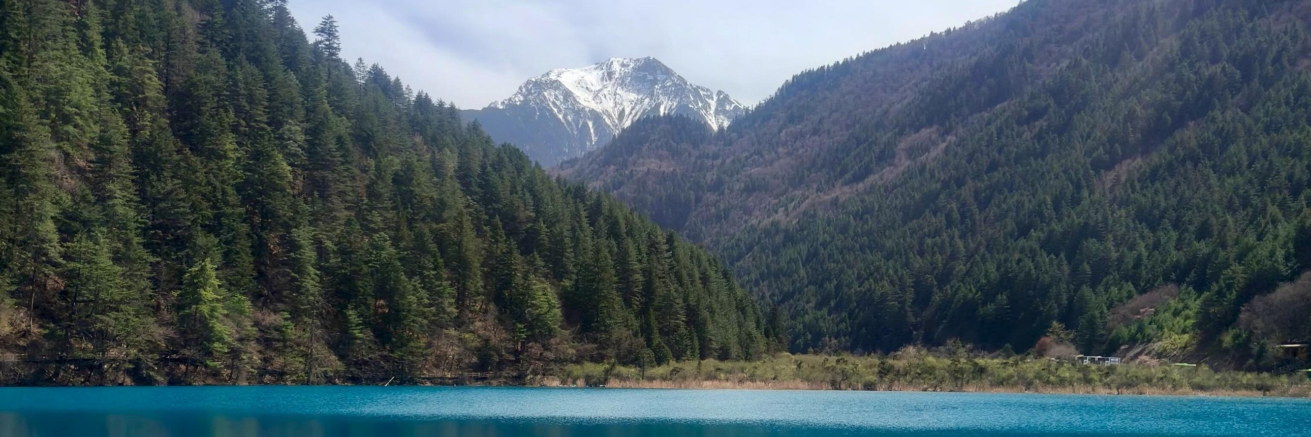 遠處雪山與近處蒼翠山林相映成趣，藍綠漸變的湖水靈動又治癒，滿是自然的清新感