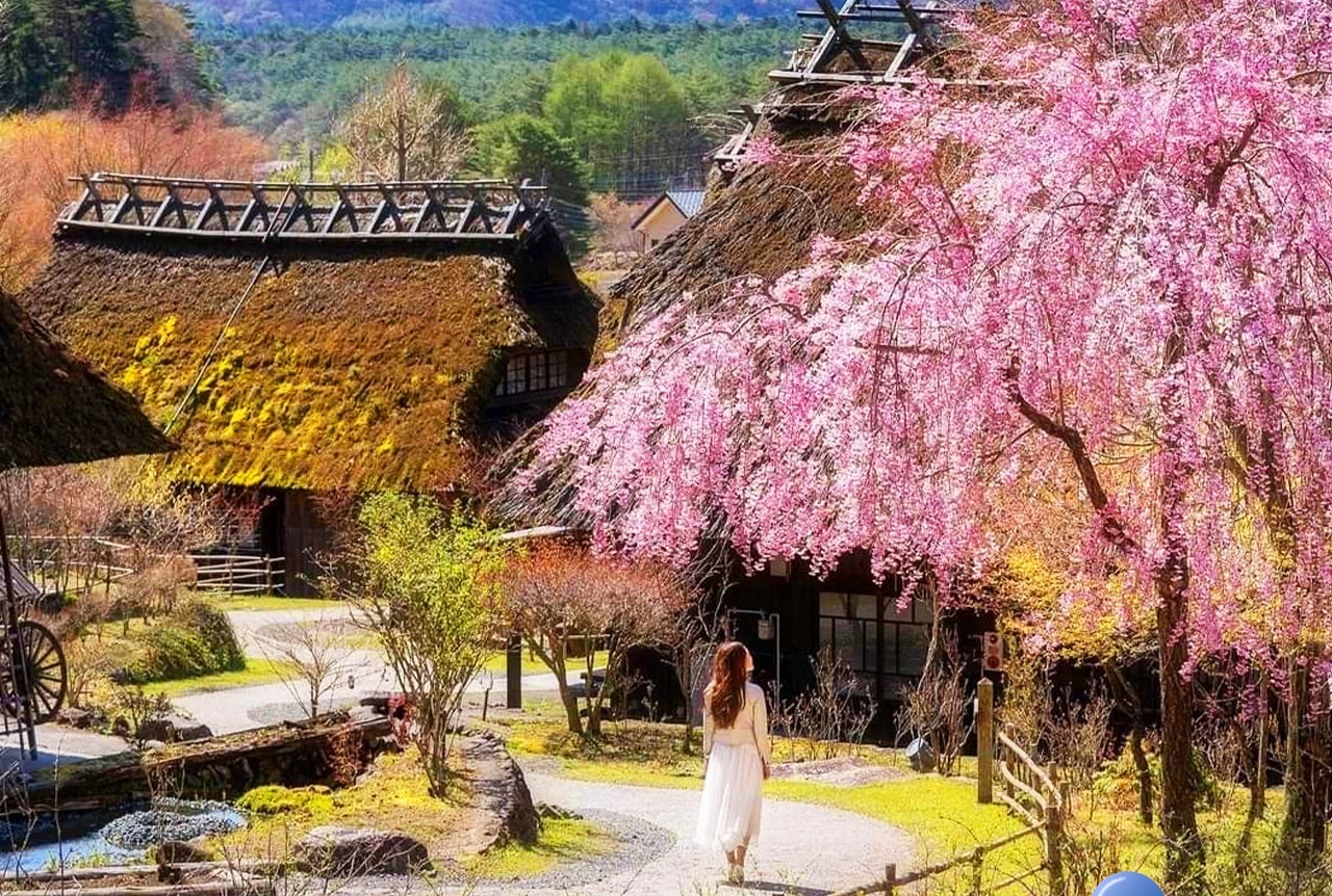 西湖療愈里根場保留著傳統茅葺屋與田園風光,彷彿走進一幅古樸的日本鄉村畫卷。 西湖療愈里根場保留著傳統茅葺屋與田園風光,彷彿走進一幅古樸的日本鄉村畫卷。