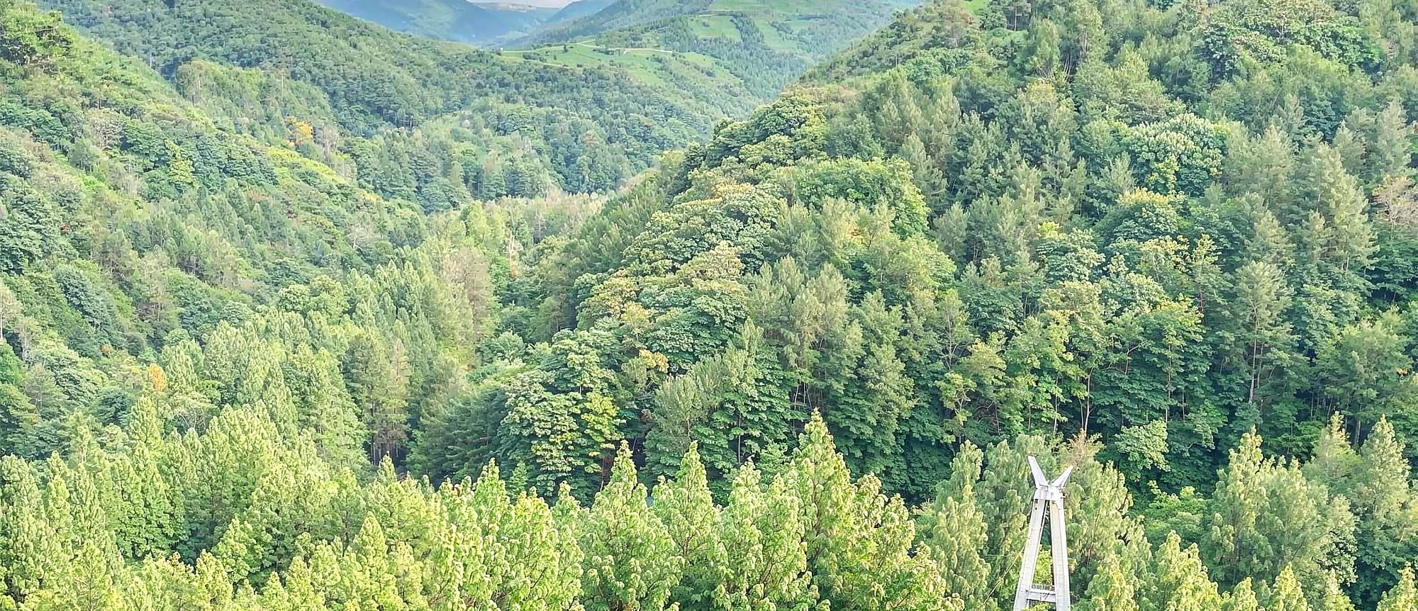 🌿夏季的長泰山擁有美麗的小徑,非常適合清爽的徒步旅行。 🌿夏季的長泰山擁有美麗的小徑,非常適合清爽的徒步旅行。