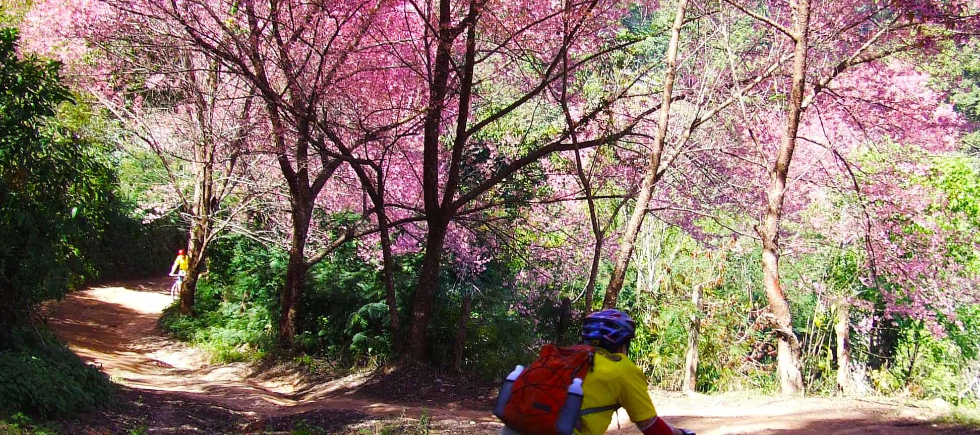 素貼山國家公園越野山地自行車騎行之旅