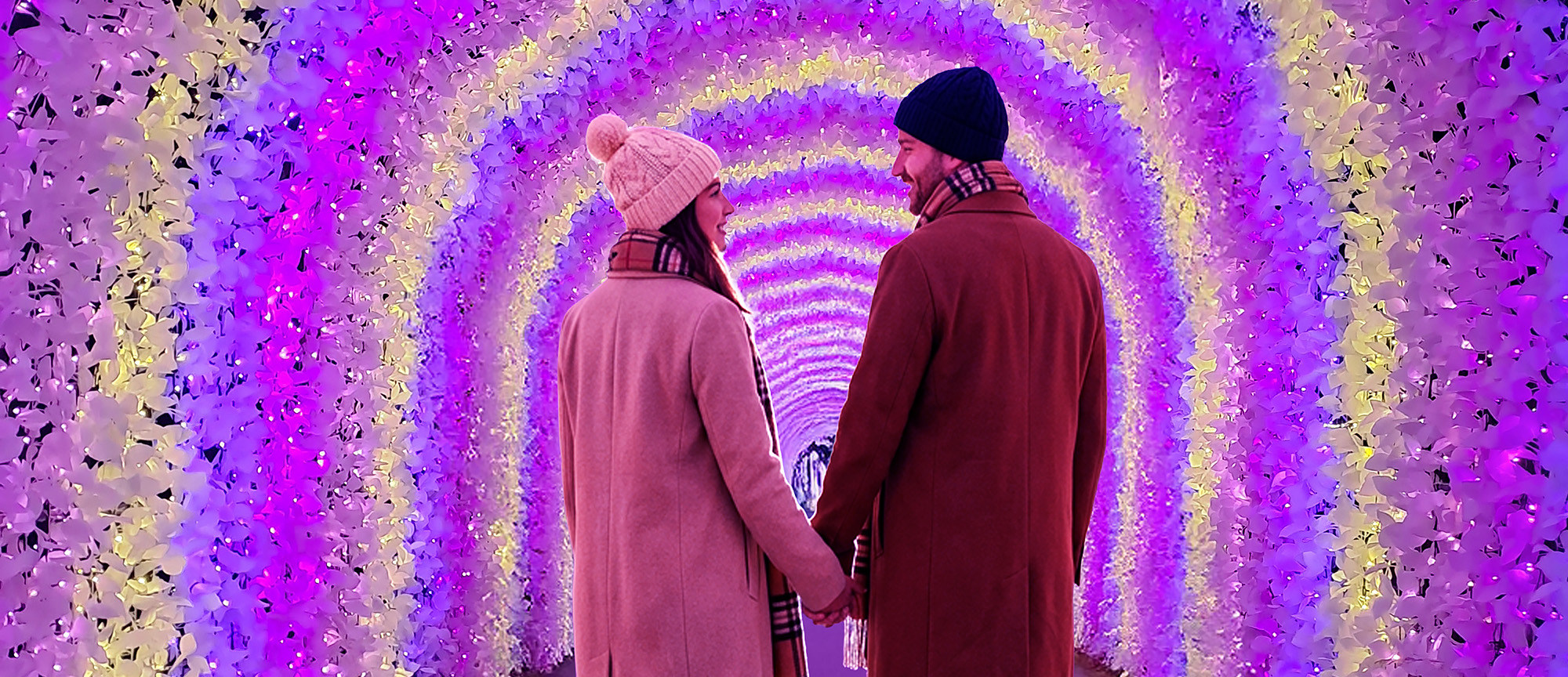 冬季晨靜樹木園🎇