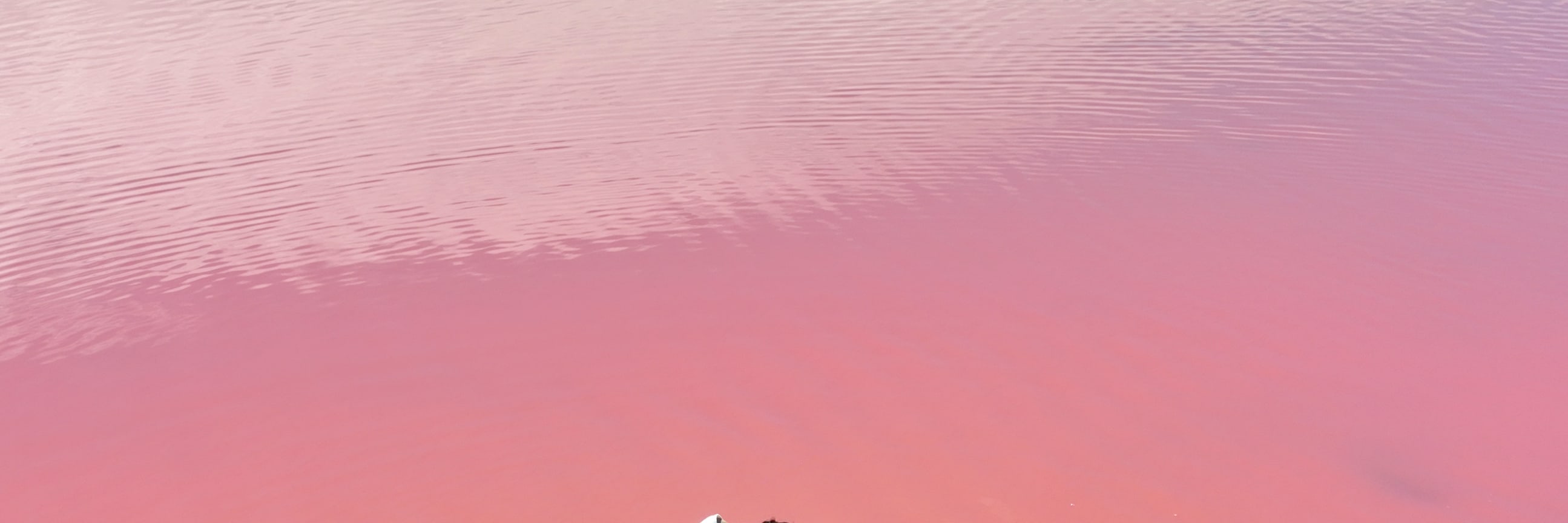 3 Days Western Australia Pink Lake Tour 