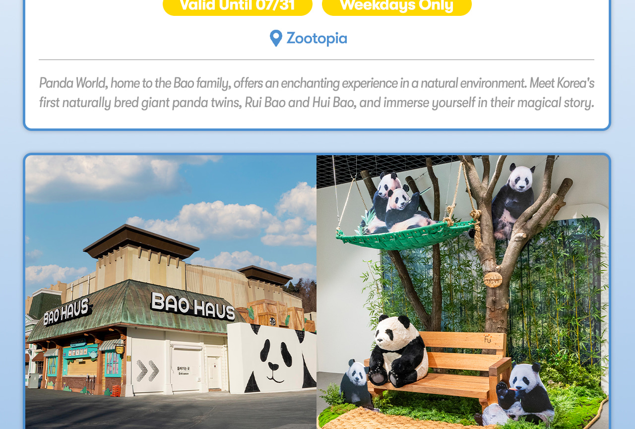 Everland Day Tour: Priority Entry (Till 31/5) + Optional Meal Coupon