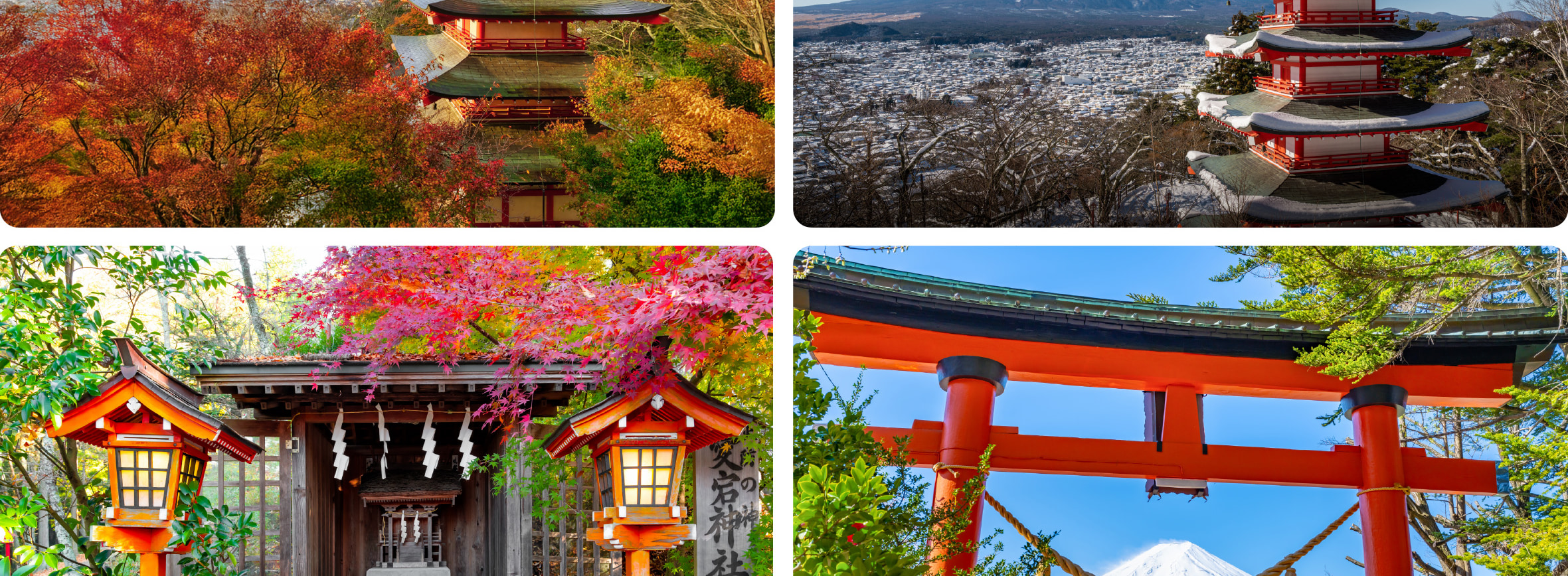 富士山 & 箱根: 富士山五合目/河口湖/大石公園/忍野八海/大涌谷/大淵笹場/雕刻之森美術館/箱根纜車/海賊船 (中/英/韓語導遊)