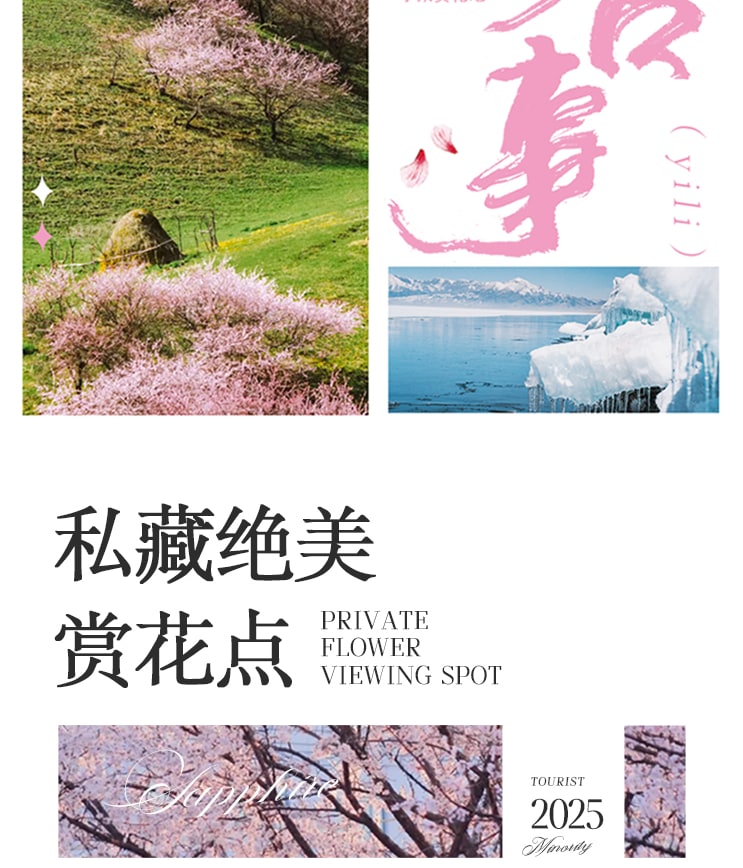 7-Day Xinjiang Yili Blossom Tour: Searching for Apricot Flowers in the Tianshan Mountains (Photography Leader Accompanied Entry to Scenic Area + Off-Road Secret Spots + Daxi Valley Apricot Blossoms + Turgen Apricot Blossoms + Kazakh Afternoon Tea + Sayram