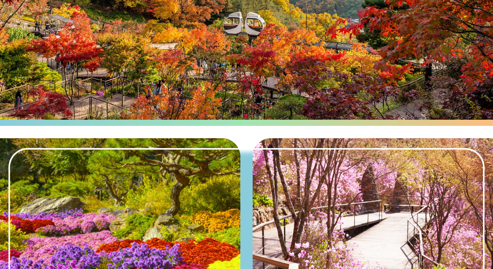 和談林 – 探索韓國最寧靜、最迷人的生態目的地之一。（季節性）