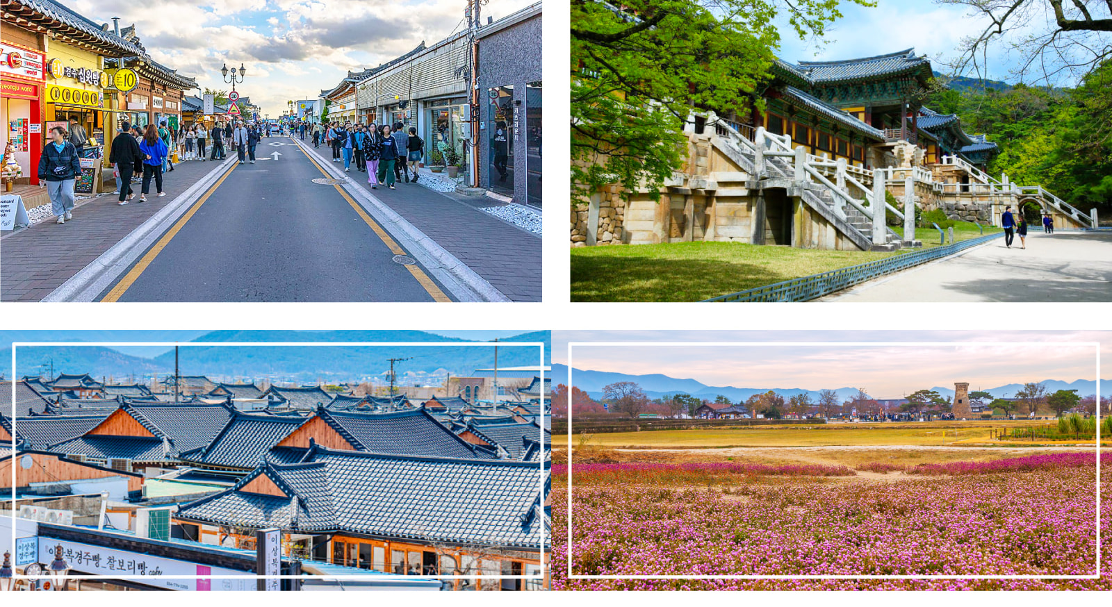 慶州世界文化遺產 & 季節限定之旅 -  走訪韓國千年古都慶州，探索多處 UNESCO 世界文化遺產，並結合櫻花盛開、楓葉繽紛或浪漫夜景等季節限定亮點，打造歷史與自然交織的完美文化旅程。