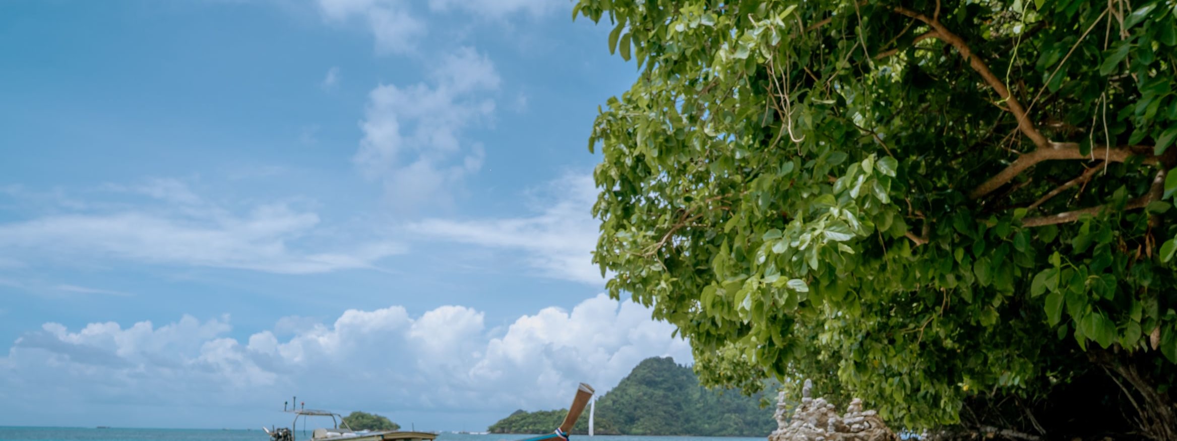 野餐式豪華長尾船