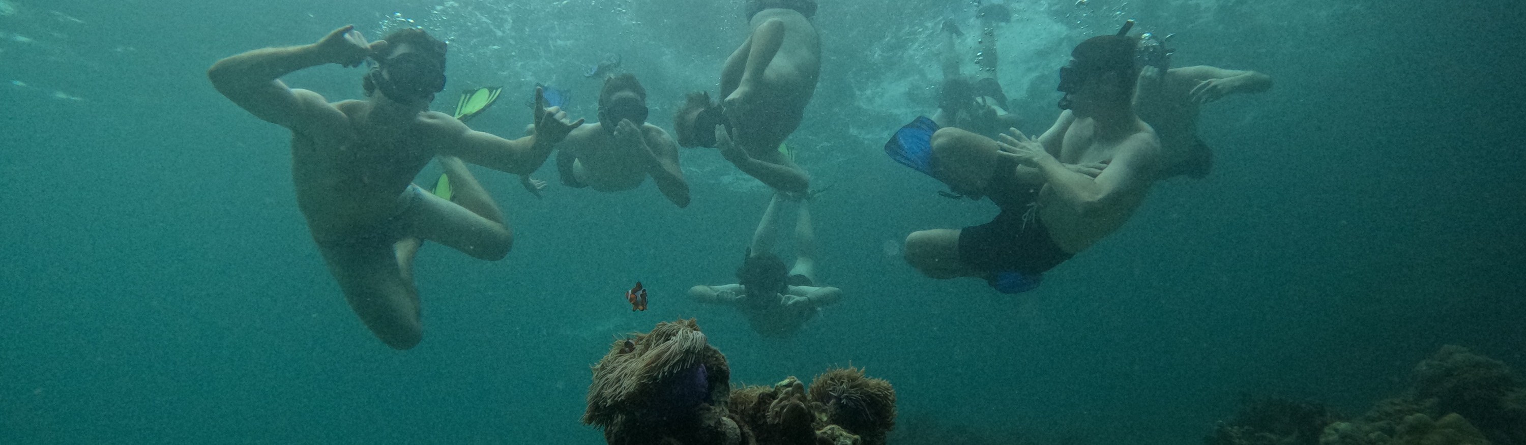 4 島浮潛日落之旅 + 夜晚生物熒光游泳