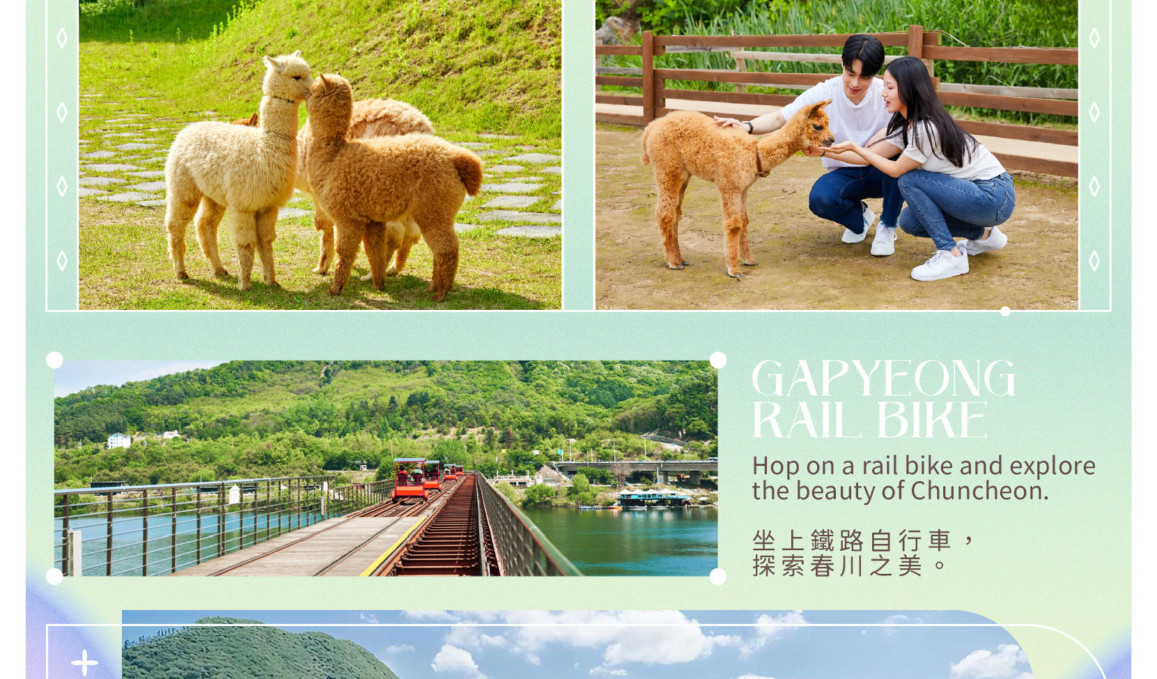 塗鴉秀 & 羊駝樂園 & 小法國村 / 鐵路自行車 / 草莓採摘之旅