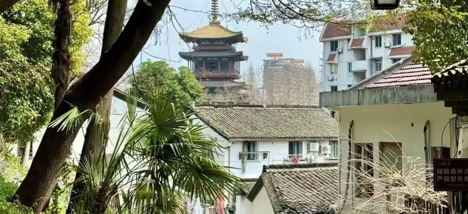 這裡曾是南宋王朝時的“皇城根兒”,更是南宋的文化中心和經貿中心。洋溢著濃郁的漢文化氣息,現在經過改造又開張了很多新的商鋪 這裡曾是南宋王朝時的“皇城根兒”,更是南宋的文化中心和經貿中心。洋溢著濃郁的漢文化氣息,現在經過改造又開張了很多新的商鋪