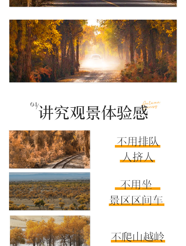 新疆橙意南疆8日遊（坦克300越野車+旅拍攝影+塔里木胡楊林+水胡楊葫蘆島+沙雅胡楊林秘境公路+帕米爾+喀什集合庫爾勒解散）