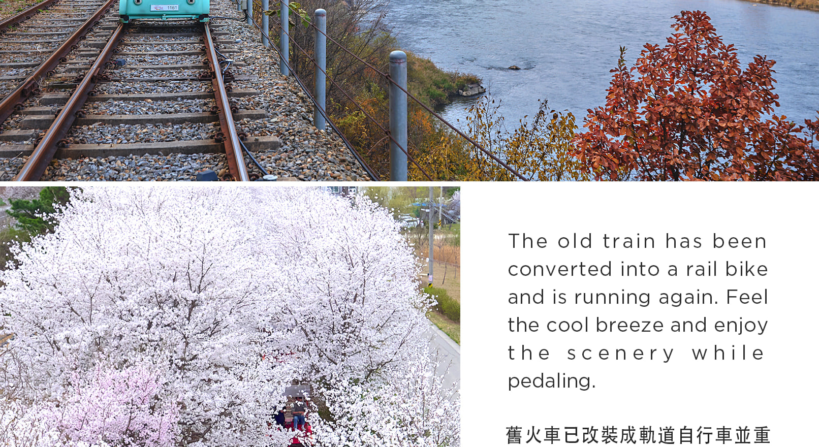 雪嶽山／纜車／草泥馬樂園／鐵道自行車／晨靜樹木園之旅