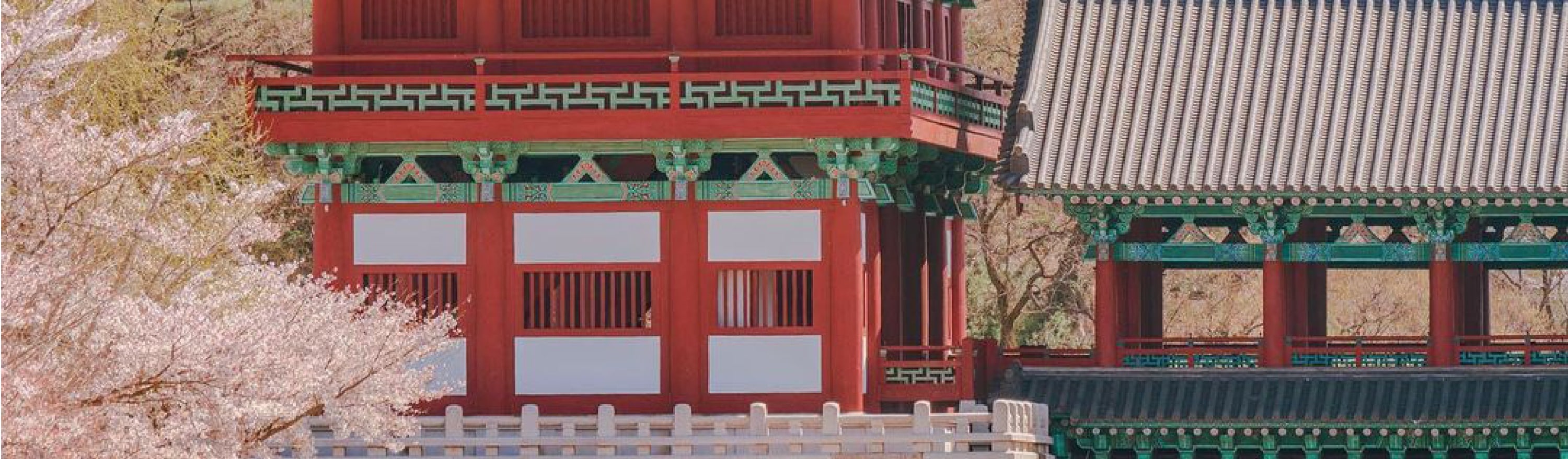 釜山 & 慶州一日遊（釜山出發）