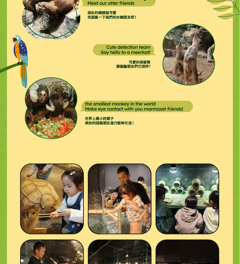SeenB 室內動物樂園 + 水上花園公園門票