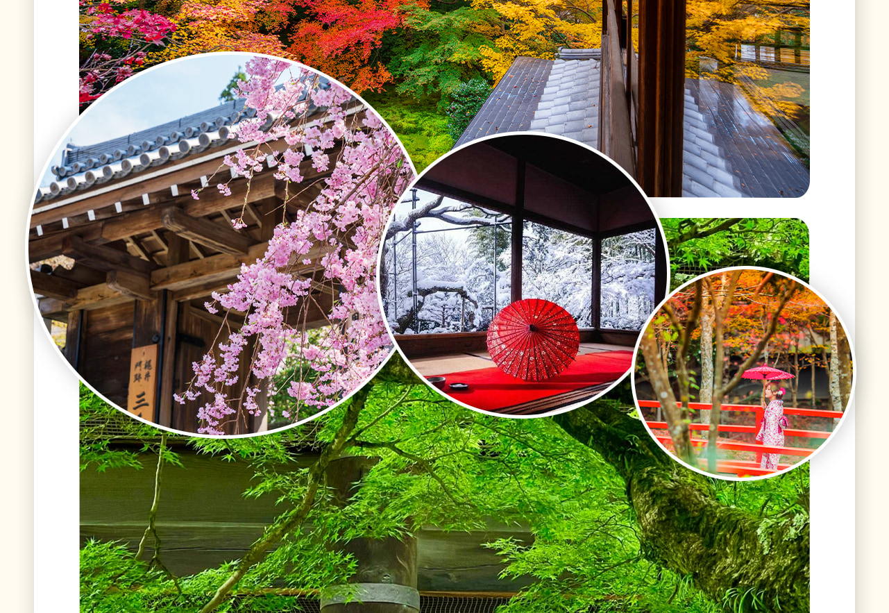 京都三千院(2024年11月5日起~2025年4月15日前往),天台宗古寺,春櫻夏繡球,秋楓冬雪,美如畫卷。院內青苔遍地,古木參天,地藏石像可愛。 京都三千院(2024年11月5日起~2025年4月15日前往),天台宗古寺,春櫻夏繡球,秋楓冬雪,美如畫卷。院內青苔遍地,古木參天,地藏石像可愛。