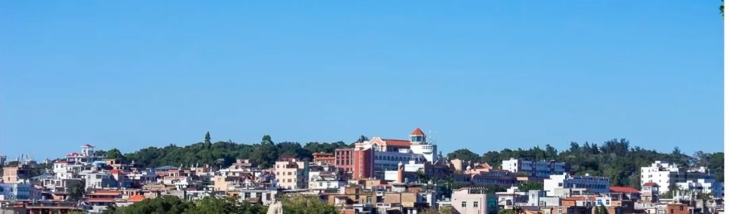 福建泉州蟳埔村&開元寺&洛陽橋1日遊（蟳埔村+開元寺+跨海梁式洛陽橋+《黑神話悟空》取景地+贈送女士簪花項目+探索非遺魅力+廈門往返）