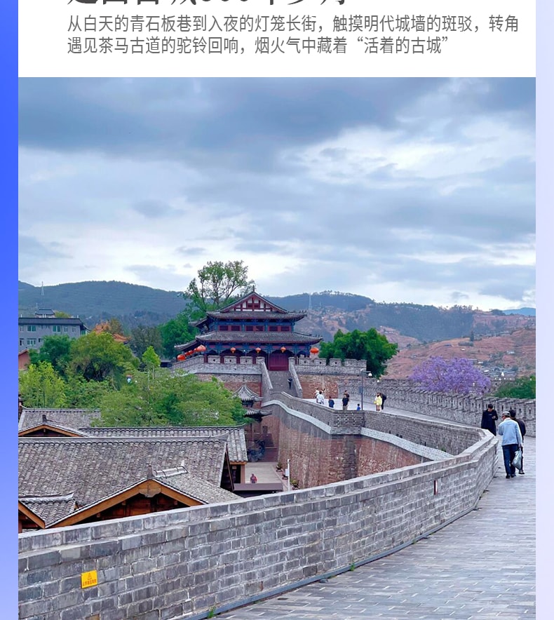 雲南昆明藍花楹與蒼洱瀘沽｜7天6晚2~7人小團（昆明+藍花楹+大理洱海+瀘沽湖+瀑布溫泉+西昌藍花楹+元謀土林）