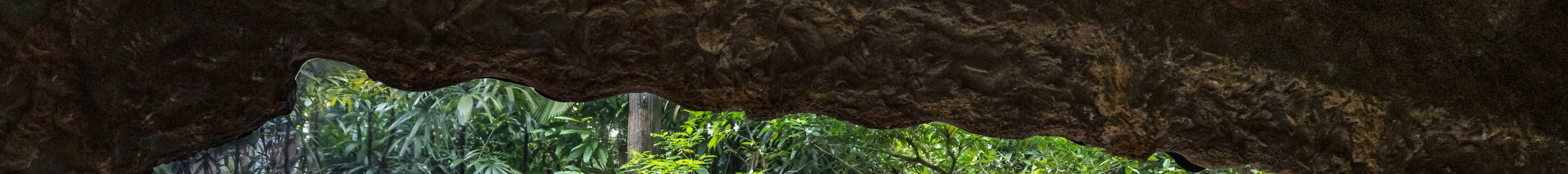 新加坡河川生態園門票｜曼達野生動物保護區