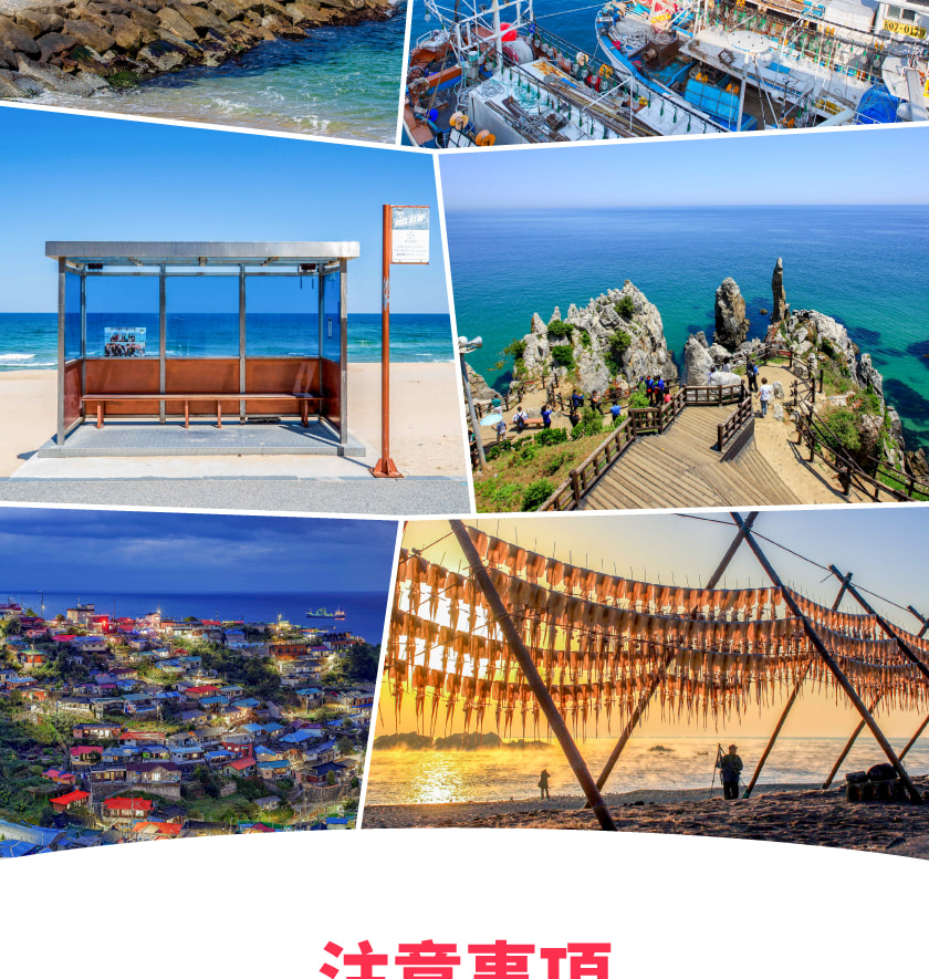 從釜山出發，東海線江陵 & 東海一日遊