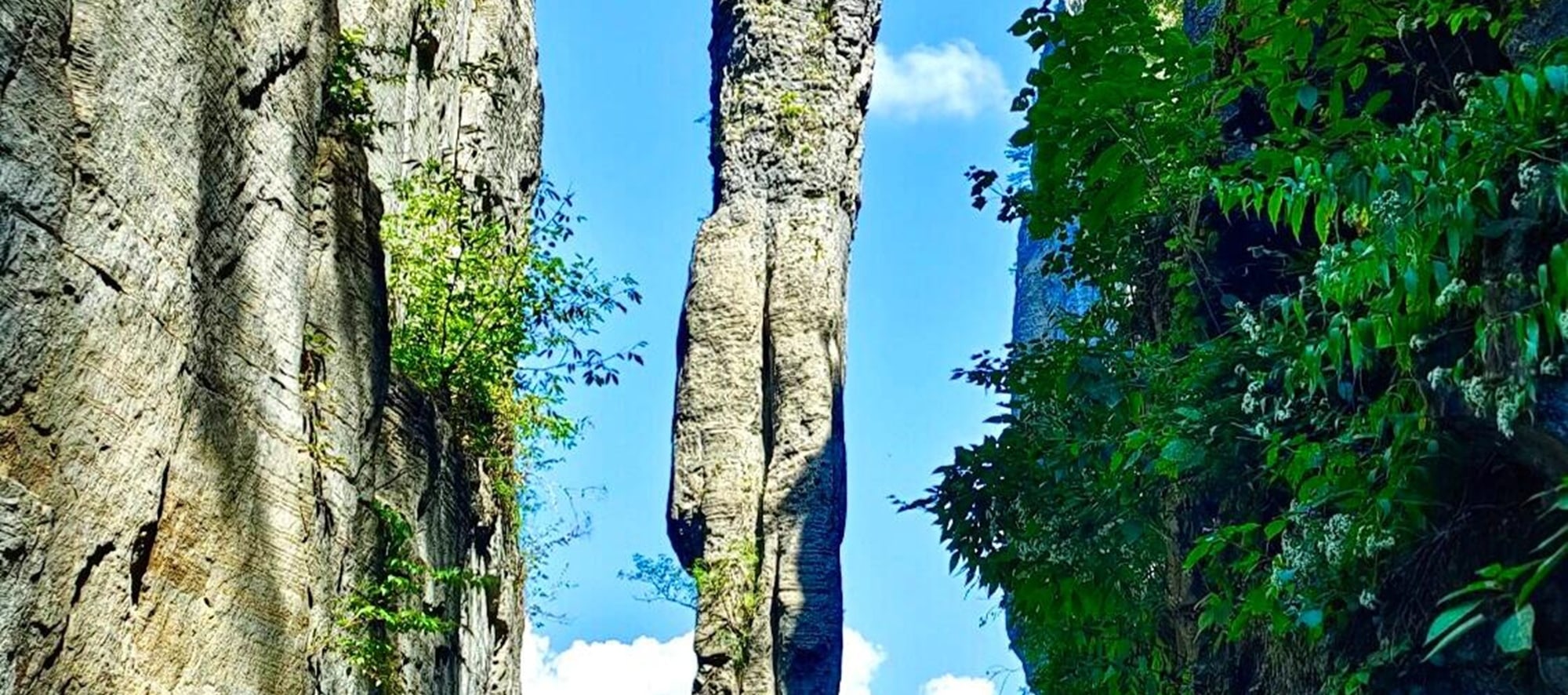 瞧這恩施盛景，奇峰傲立，綠意盈崖，飛鳥掠過天際。邂逅此景，便住進了心尖