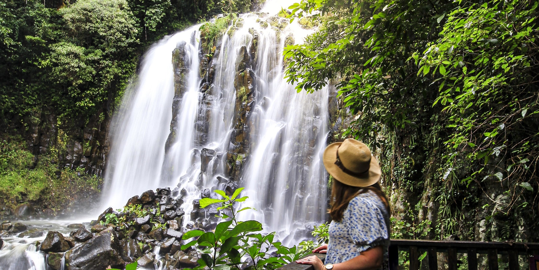 Waterfalls Day Tour-Millaa Millaa Falls&Josephine Falls from Cairns - Thumbnail 11