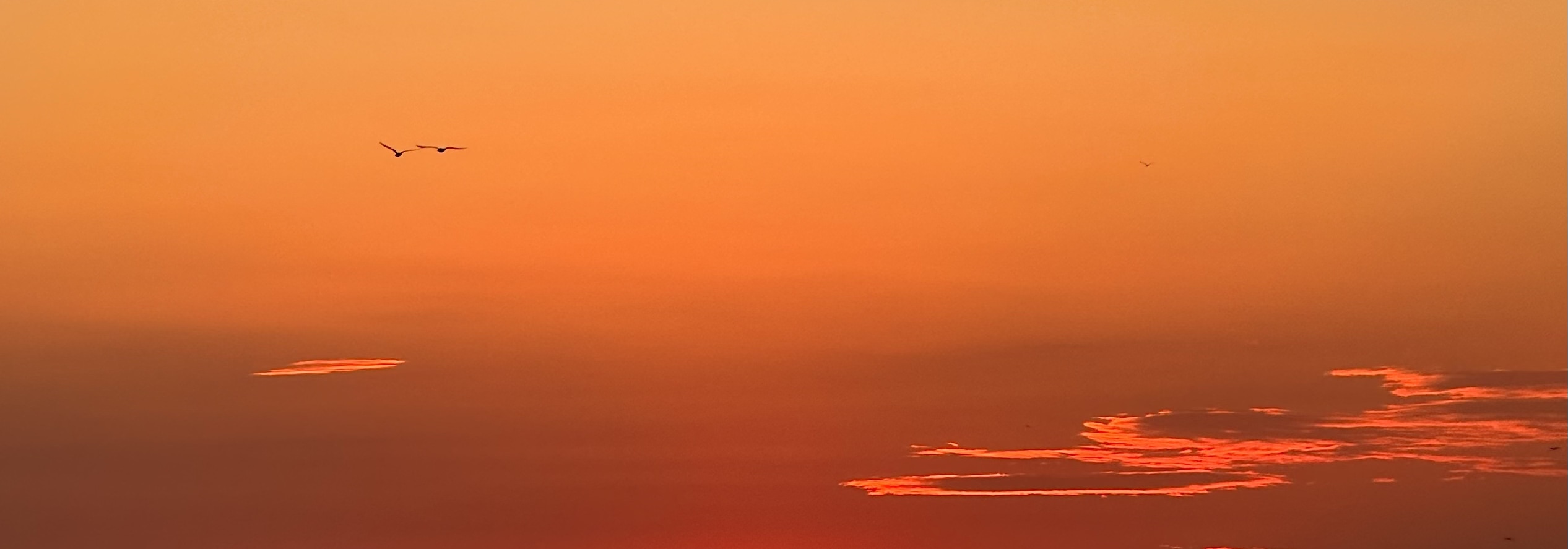 Spectacular Istanbul Sunset Cruise: 3 Hours with Asian Side Explore