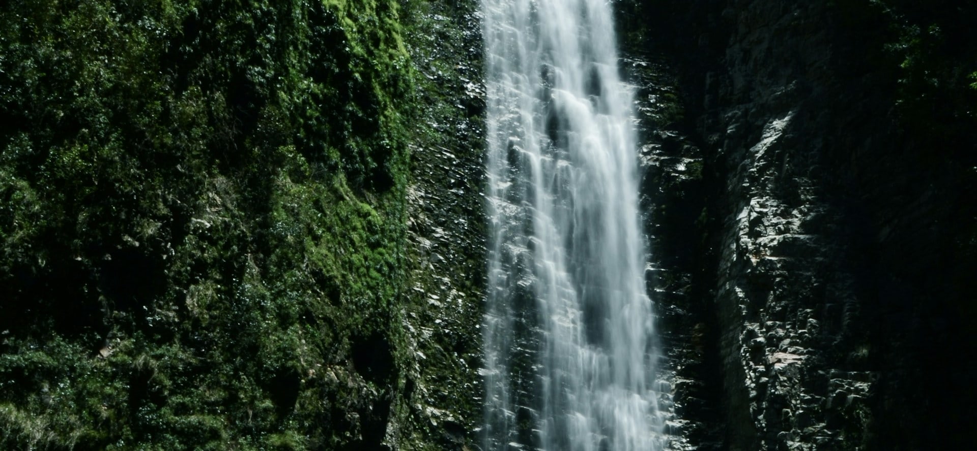 日光（Nikko）私人包車一日遊