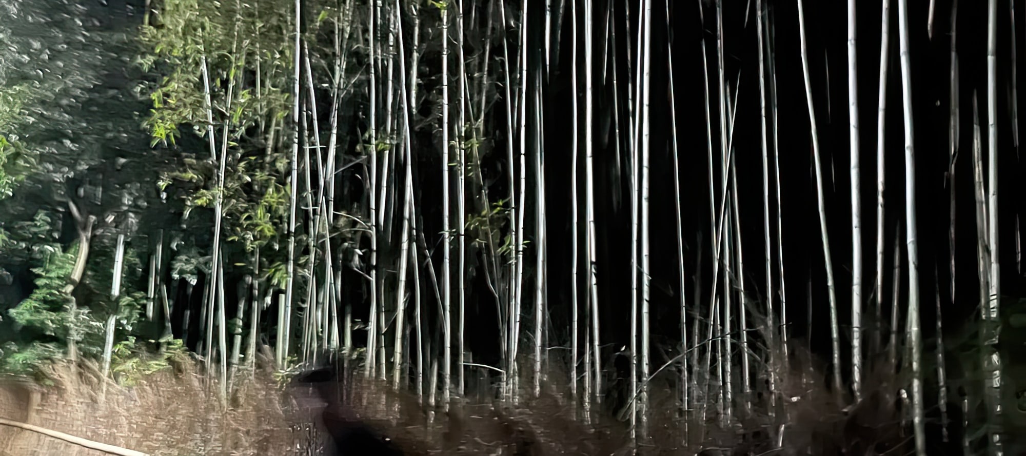 京都市嵐山幽靈狩獵夜遊