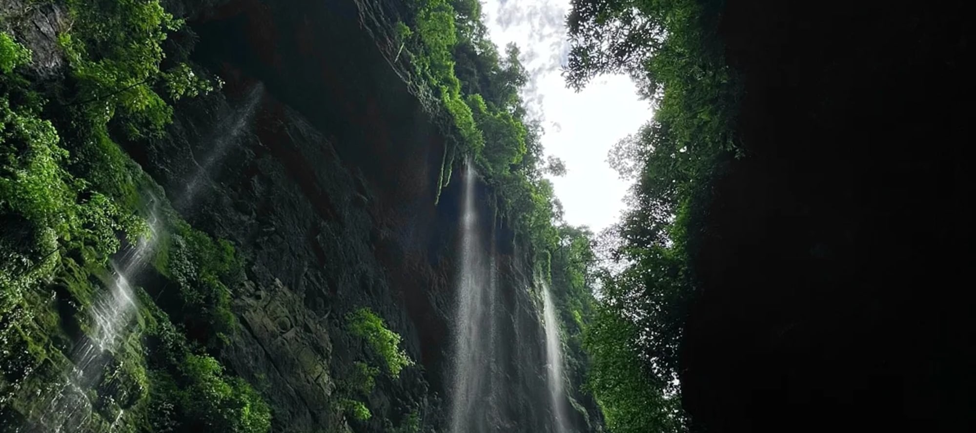 四川峨眉山全景純玩一日遊（峨眉天下秀+梵天淨土 +雲上金頂+天下峨眉+雲霧繚繞+宛若仙境+“四大佛教名山”之一+“人間聖光”+成都往返）