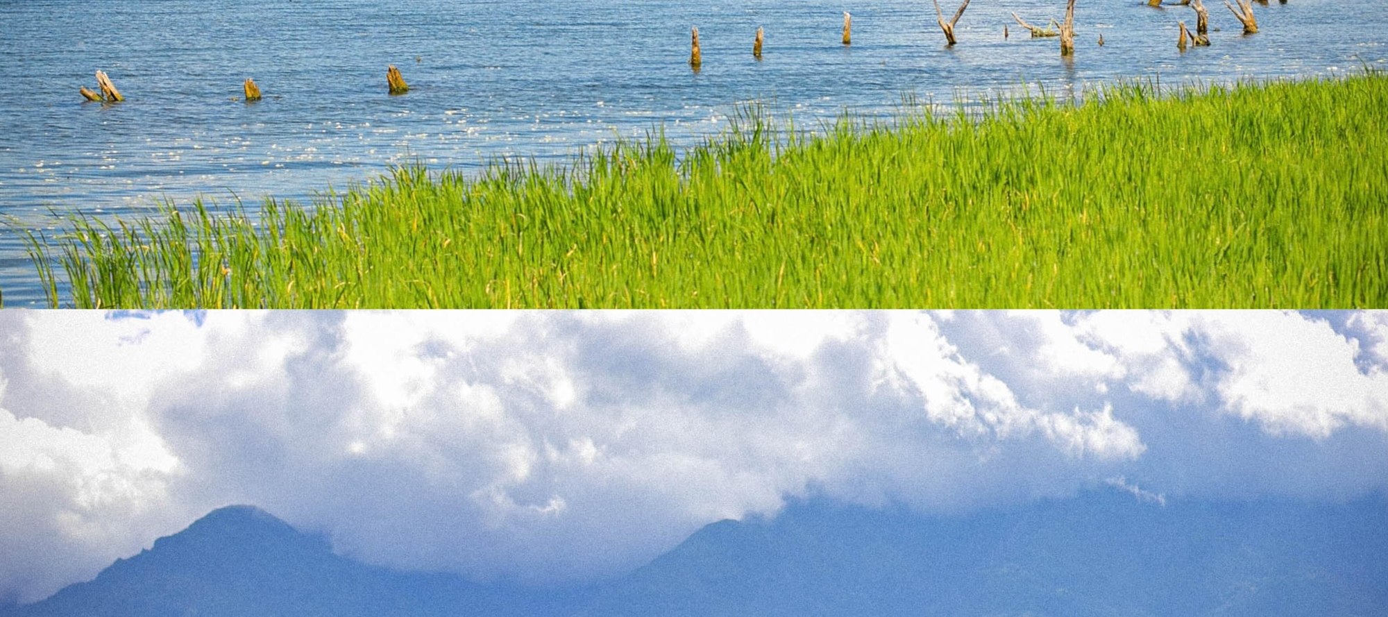 來洱海吧！賞湖景、望青山，騎單車擁抱自在時光