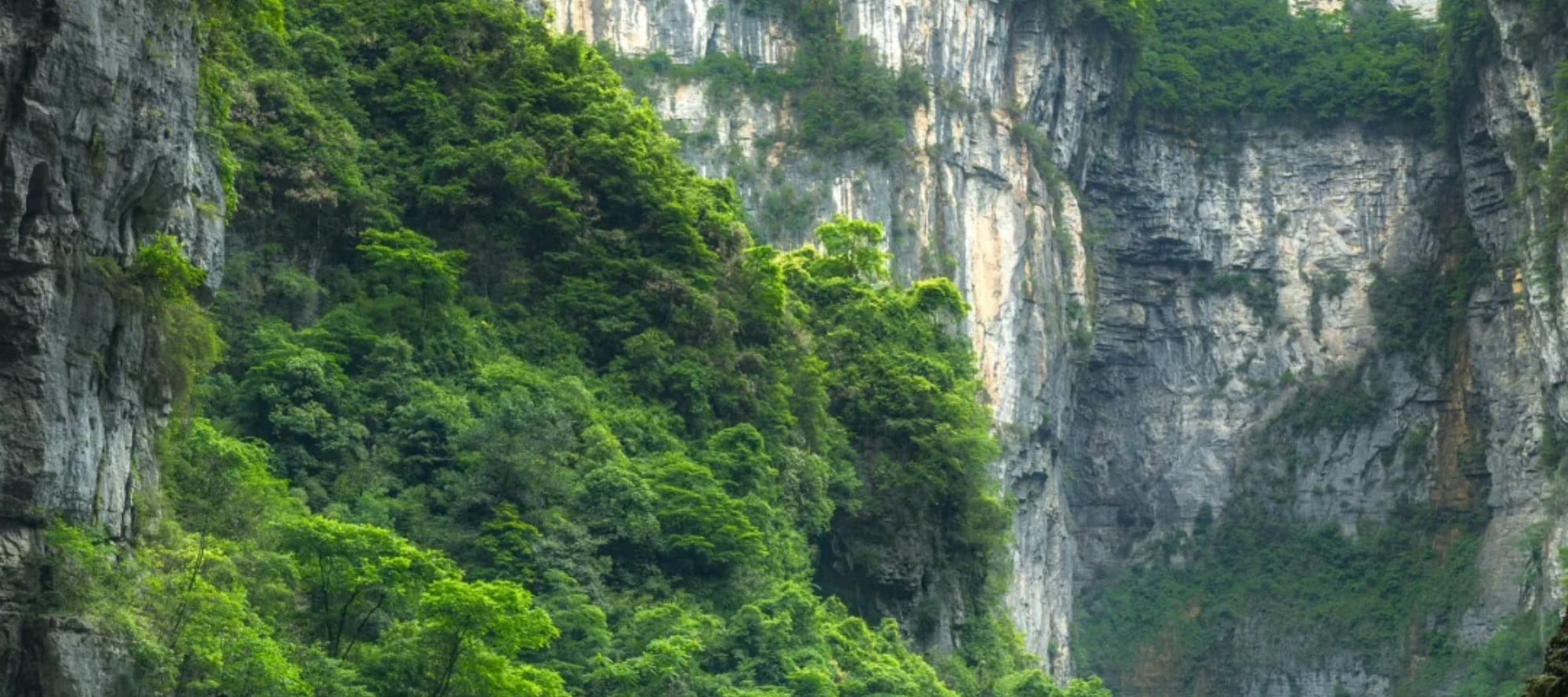 【櫻花季促銷】重慶武隆天生三橋&龍水峽地縫經典一日遊（喀斯特地質奇觀+電影變形金剛同款取景地）