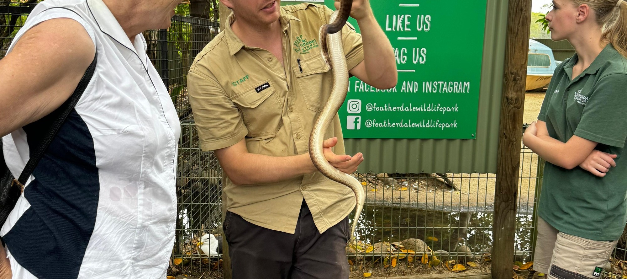 Australian Wildlife, Blue Mountains & Scenic World Private Tour