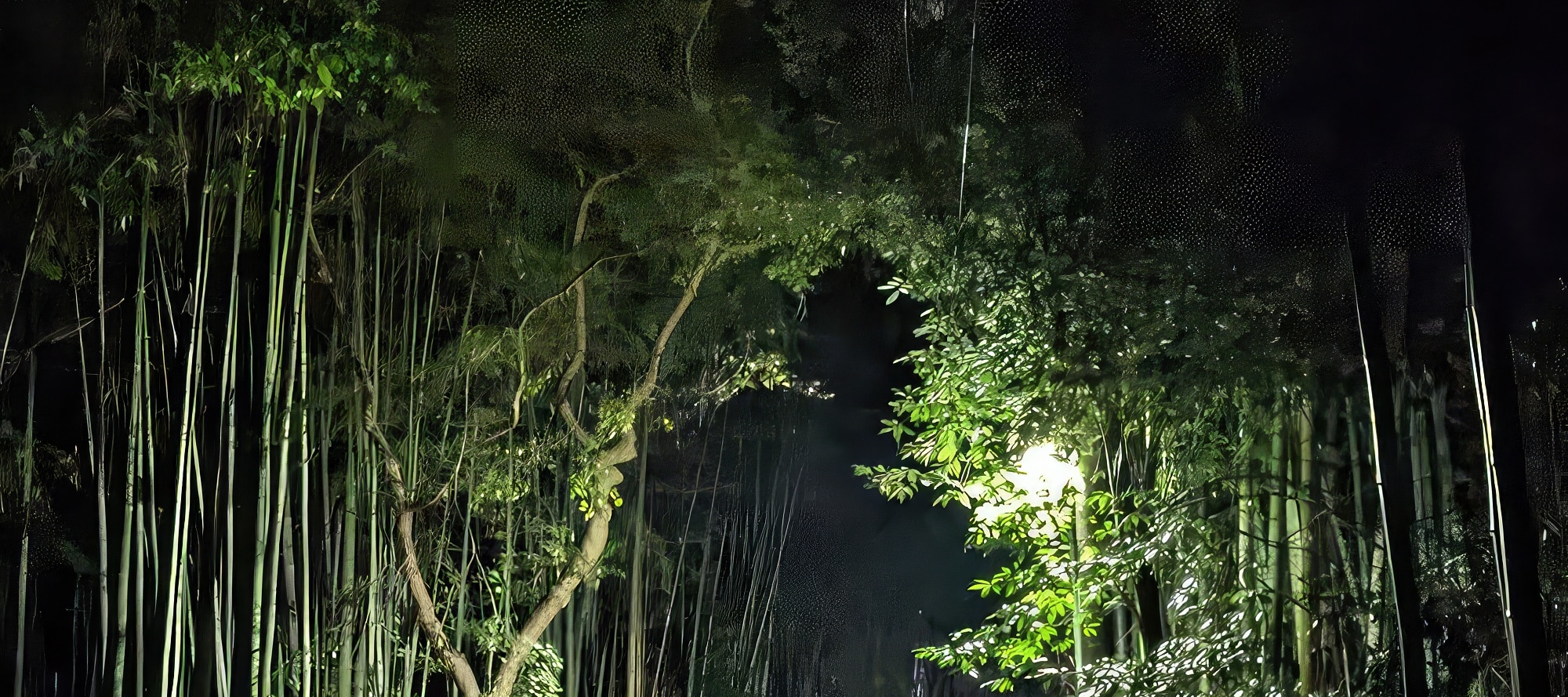 京都市嵐山幽靈狩獵夜遊