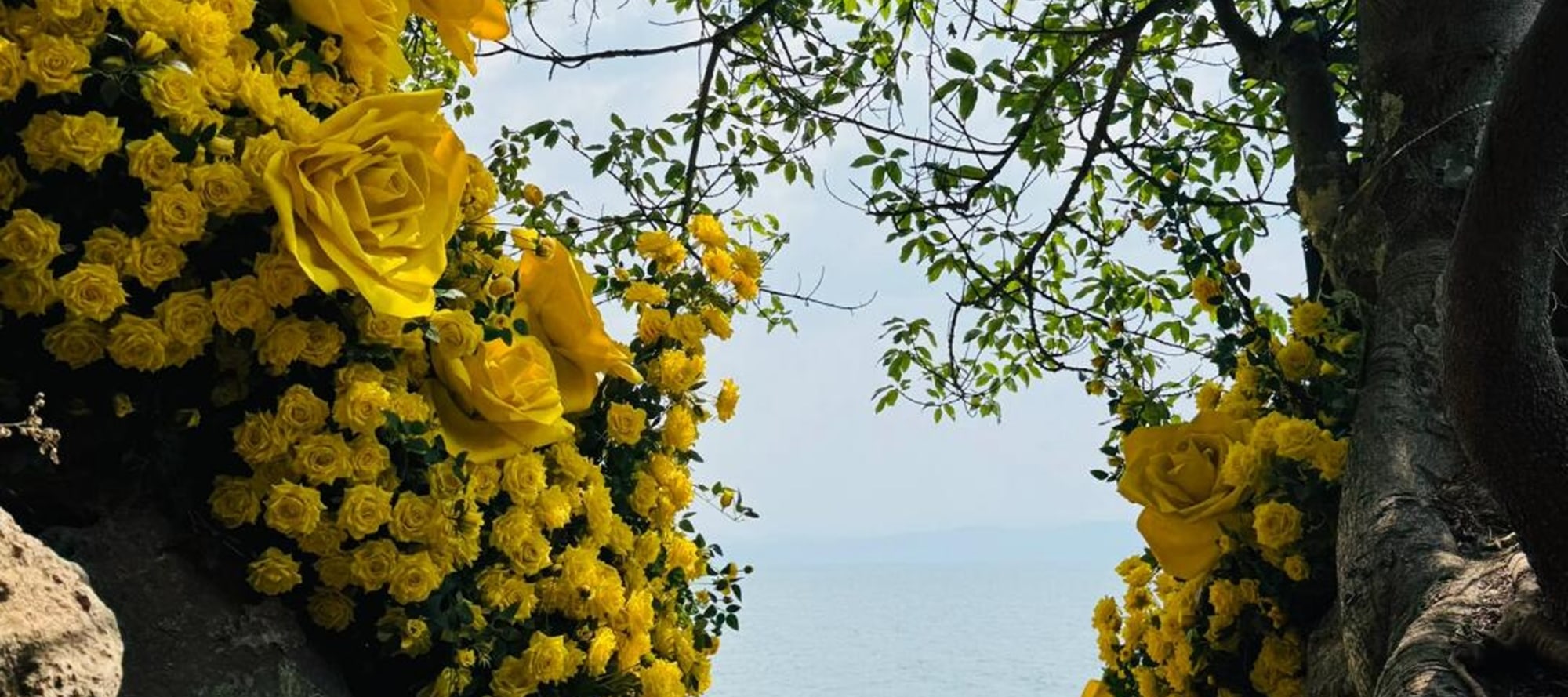 雲南撫仙湖純玩一日遊（撫海灣溼地公園+撫仙湖西岸紅咀+撫仙湖祿充風景區+粉色沙灘+筆架山+石鍋魚/銅鍋洋芋飯+雲南人的後花園+昆明往返）
