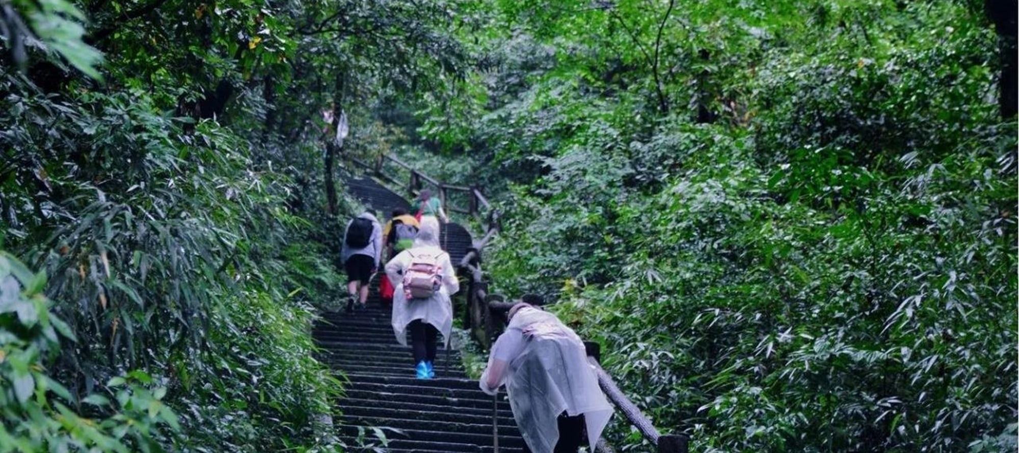 Walk through the mountains of Emei Mountain, walk on the bluestone to explore the ancient temple, listen to the sound of springs and birds, and encounter the poetry and Zen of the mountains during your hike