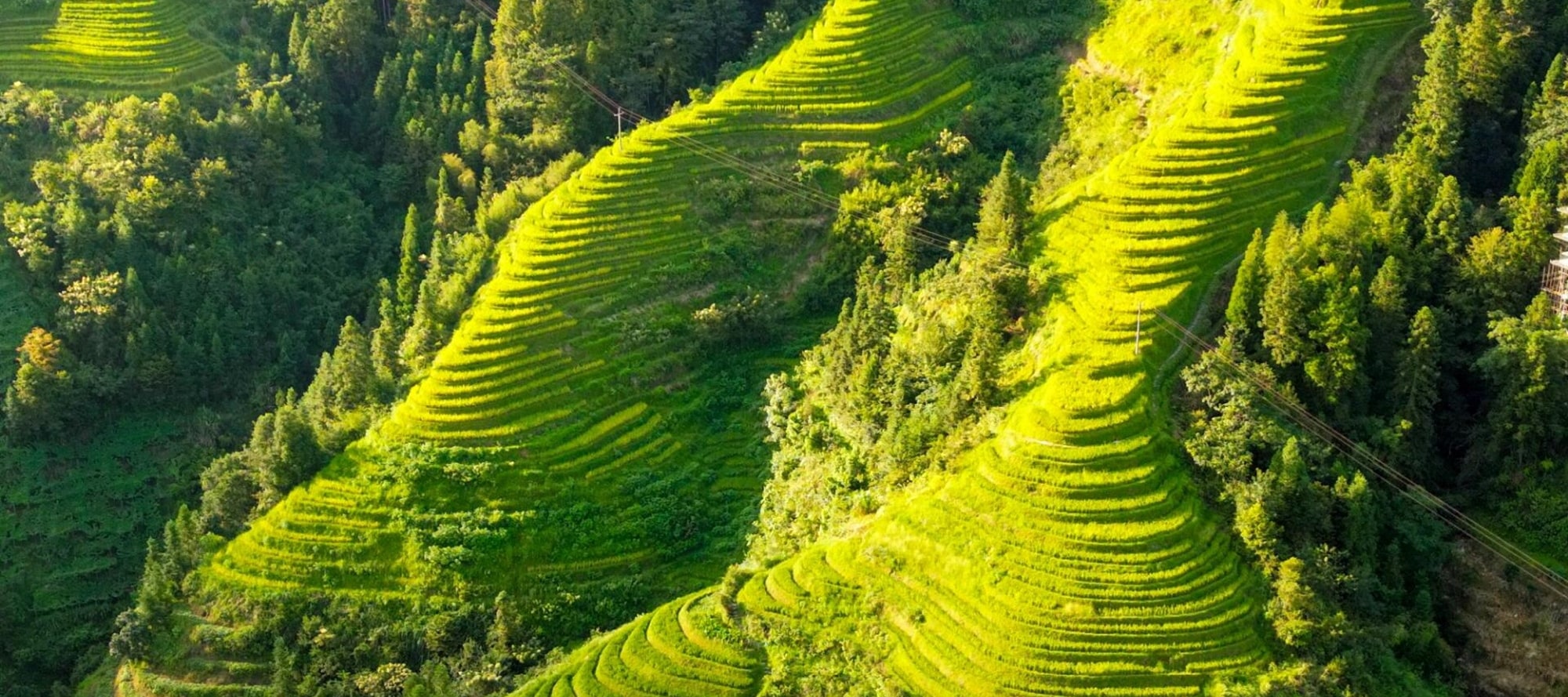 廣西桂林山水秘境5日遊（2-8人團+龍脊+古東瀑布+象鼻山+日月雙塔+遇龍河竹筏+興坪古鎮+灕江+十里畫廊+下午茶+篝火晚會+桂林往返）