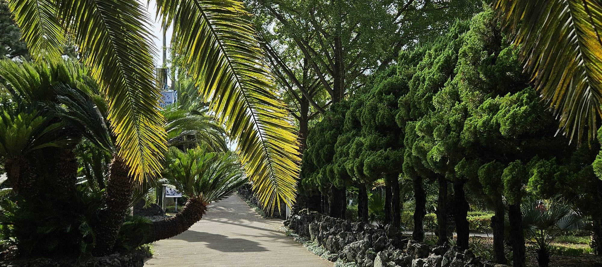 Hallim Park ticket in Jeju