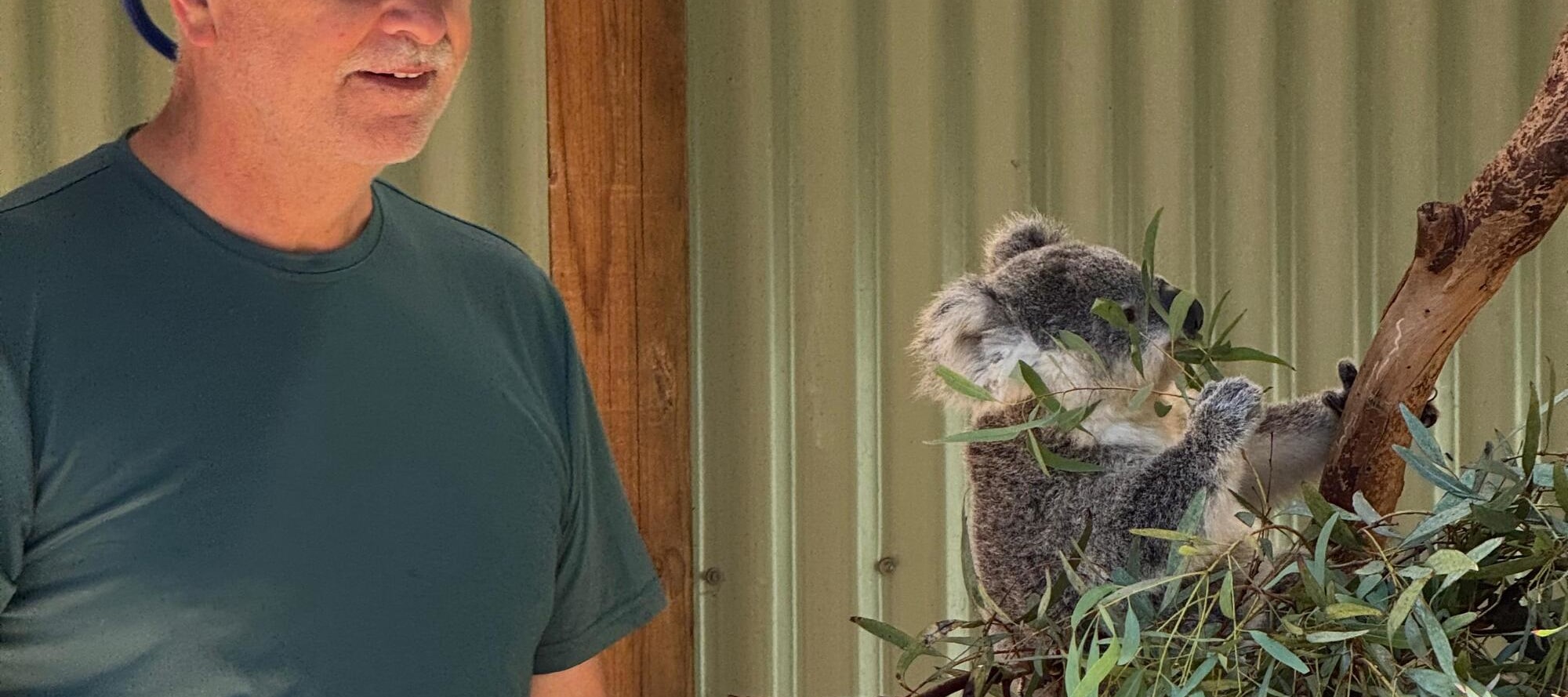 Australian Wildlife, Blue Mountains & Scenic World Private Tour