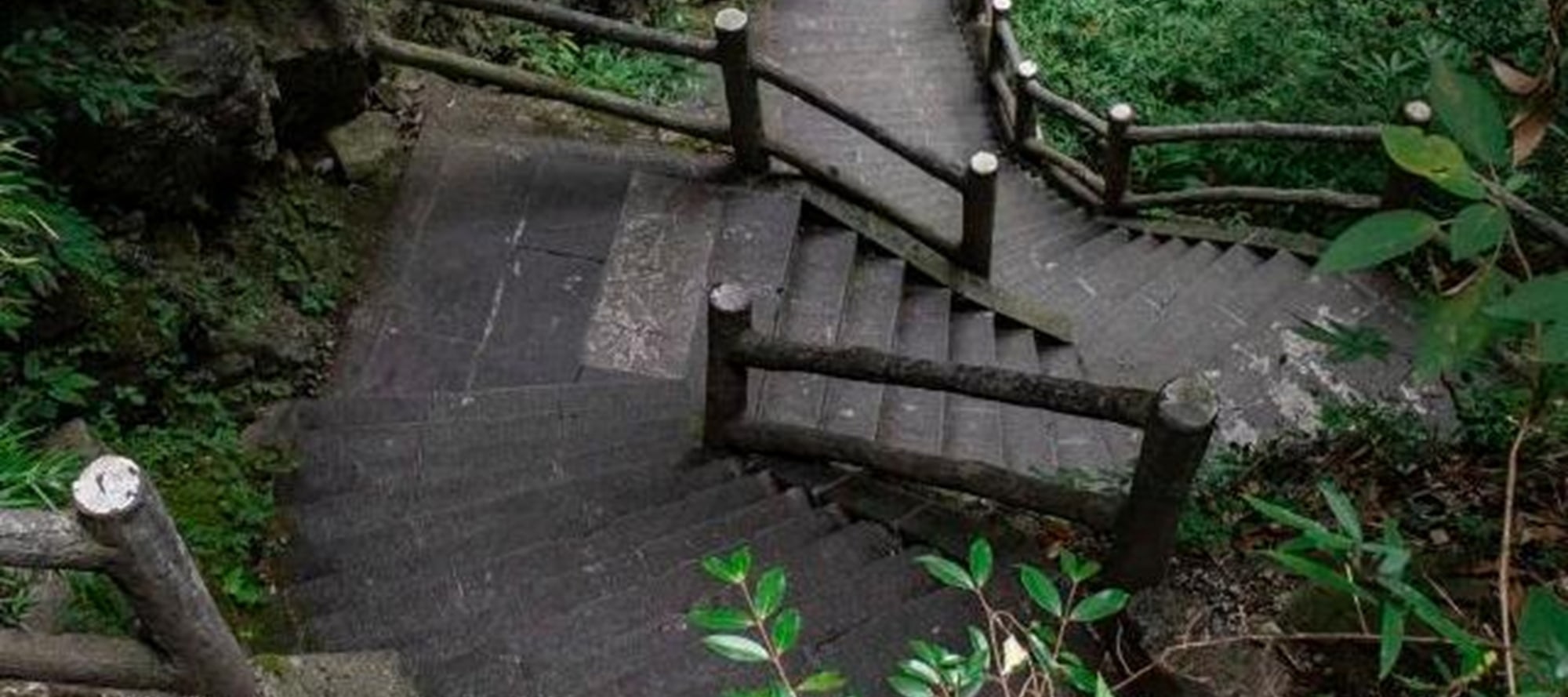 Enter the secret realm of Emei Mountain, walk along the winding ancient road, take in the beauty of mountains and rivers, appreciate the seclusion of ancient temples, and find inner peace