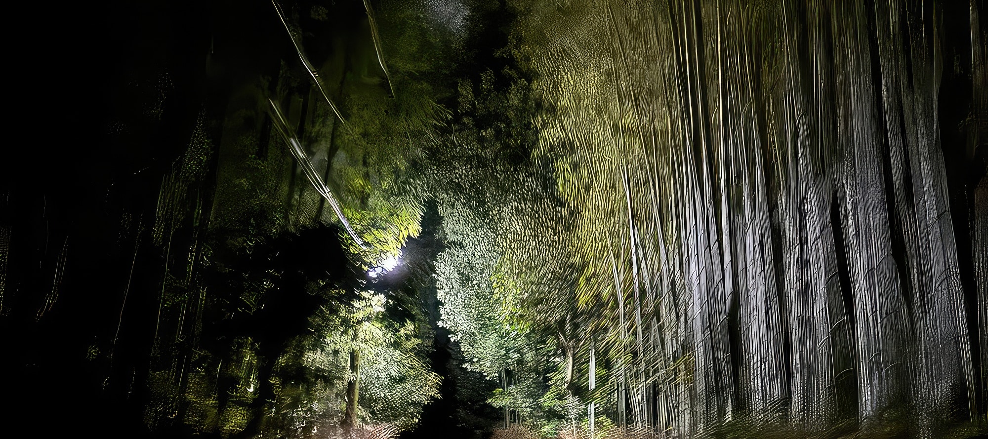 京都市嵐山幽靈狩獵夜遊