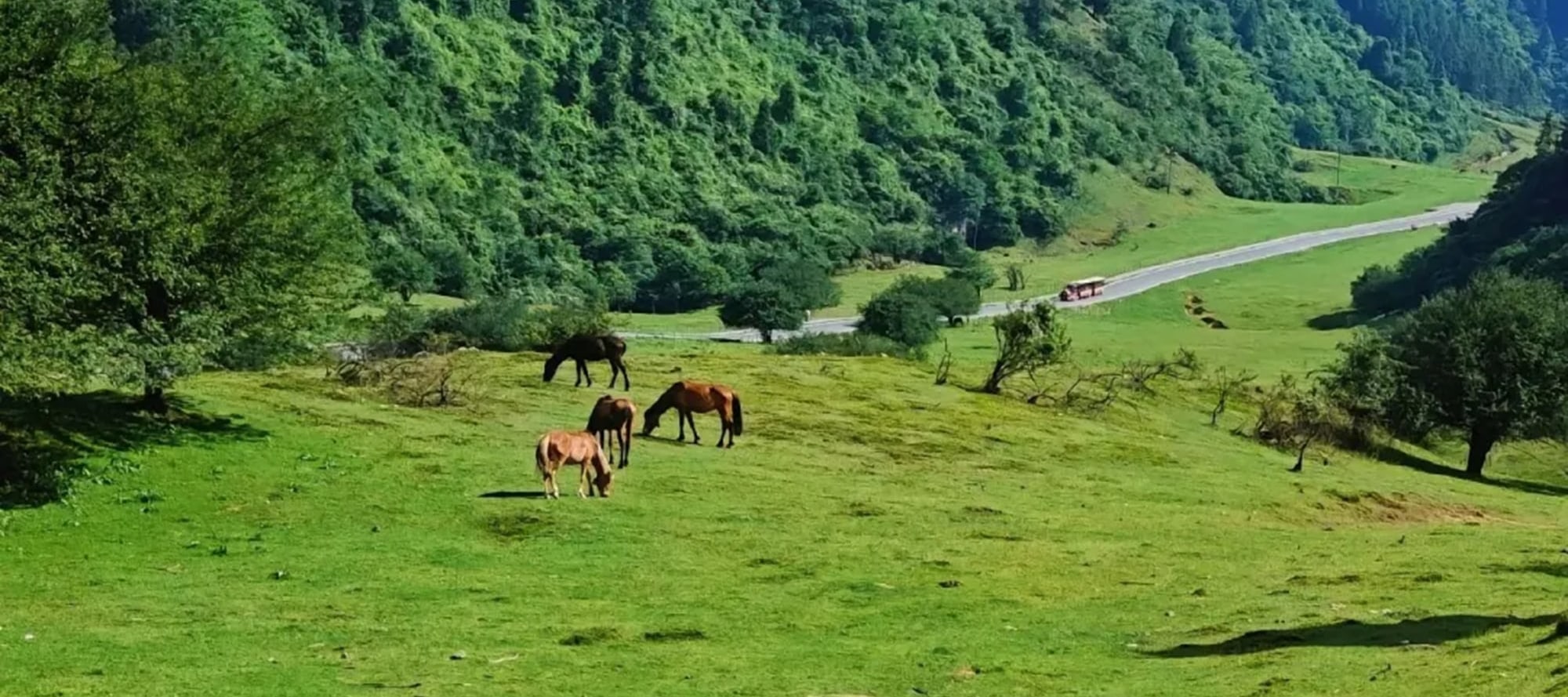 Are you feeling drained by your busy life? Then head to Chongqing Fairy Mountain! This is a utopia that can heal everything, a green wonderland that comes out of Hayao Miyazaki's animations.