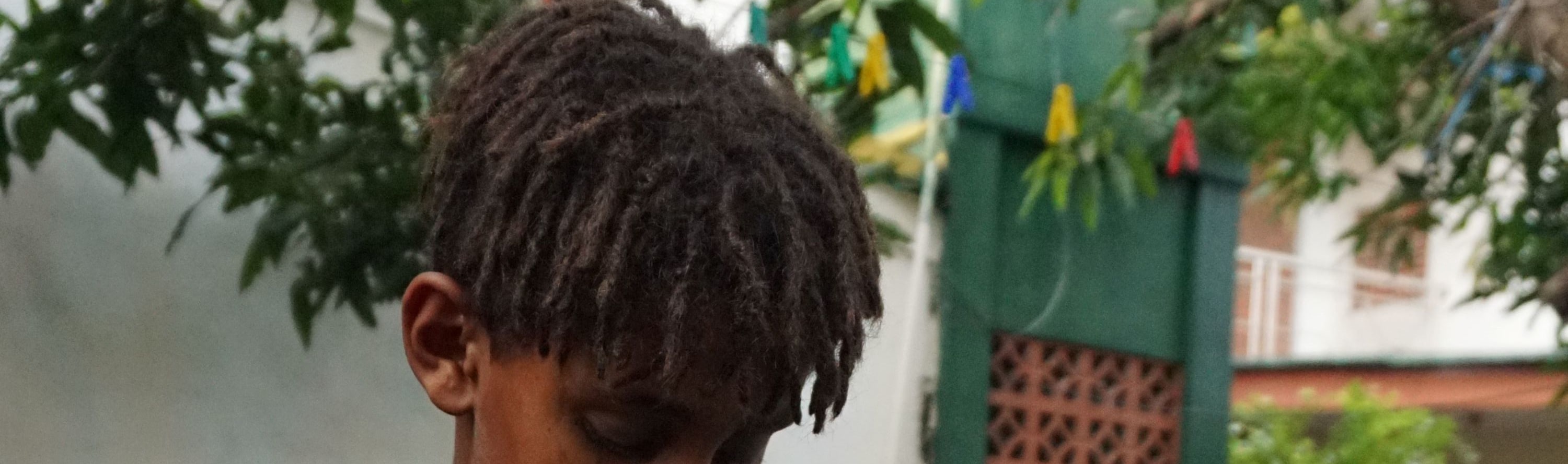 學習天然染色藝術 學習天然染色藝術