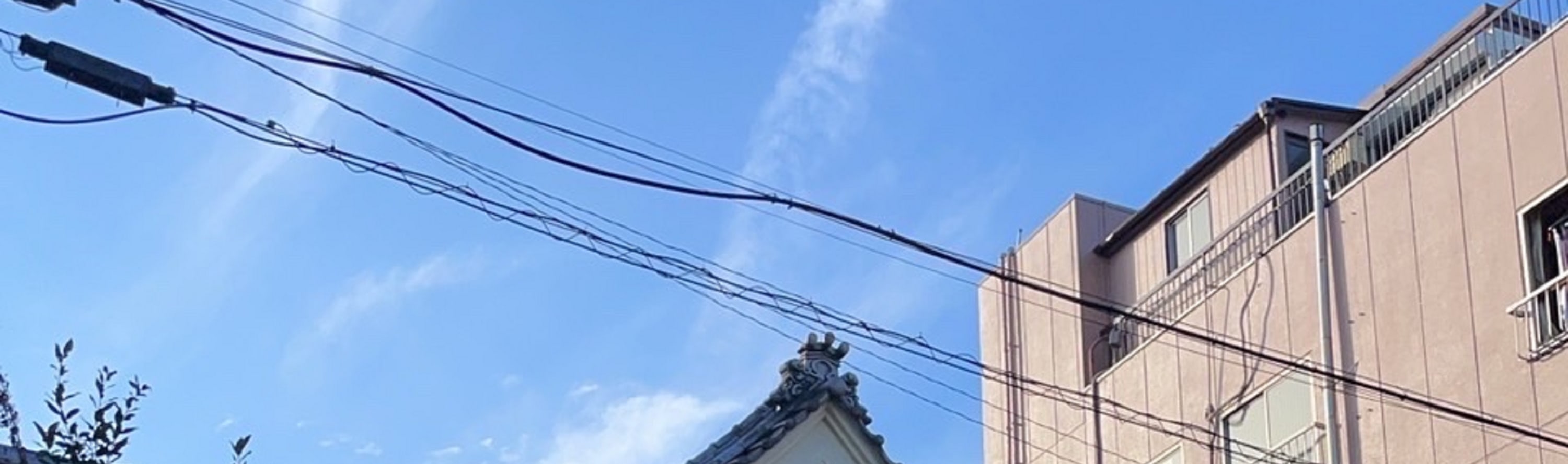東京相撲體驗 & Chanko火鍋午餐
