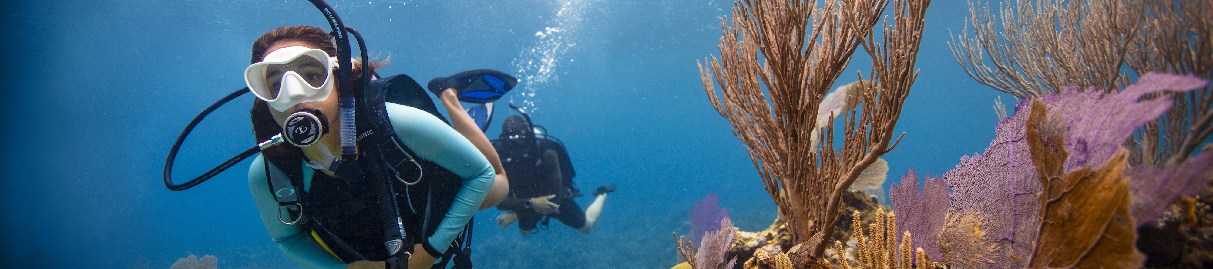 長灘島 PADI 潛水中心日出潛水體驗（08:00開始）