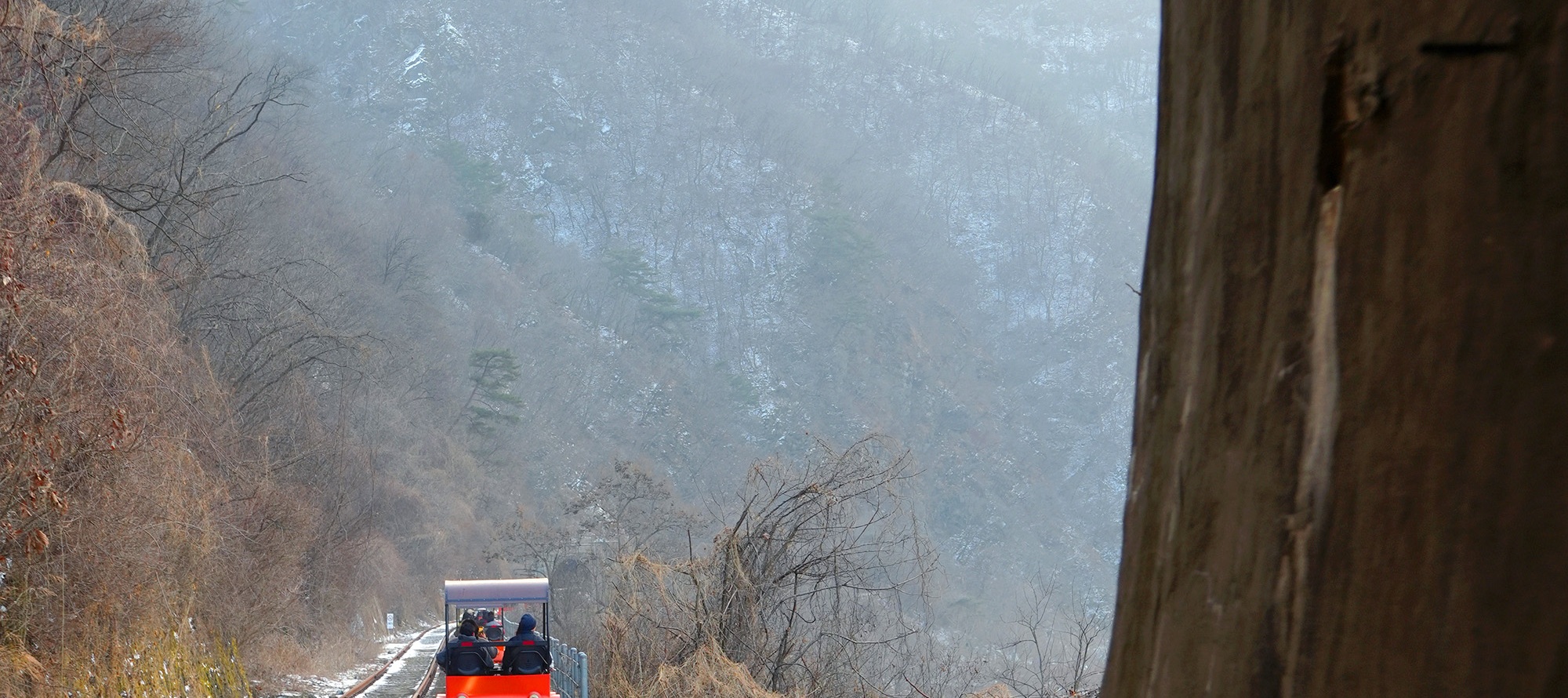 冬季鐵道自行車，帶您飽覽白雪皚皚的壯麗山景。