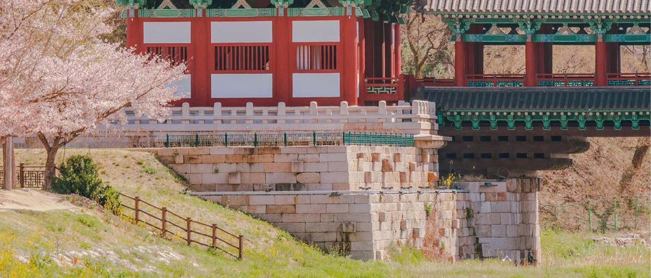 [From Daegu] Gyeongju UNESCO Day Tour: Bulguksa Temple, Cheomseongda